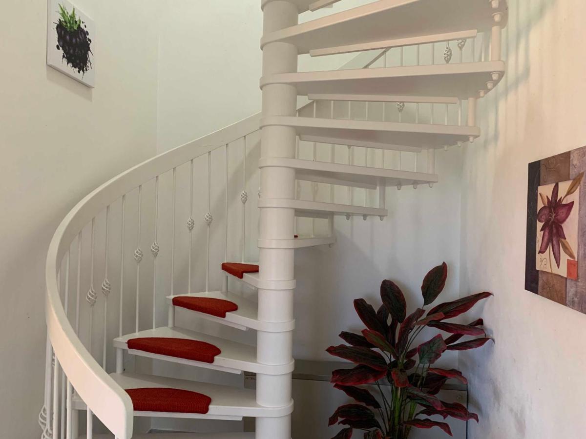 Haus Am Schilf Villa Nordstrand Bagian luar foto